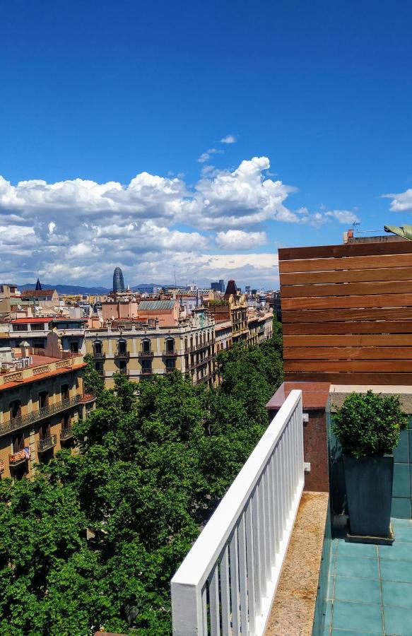Elegant Olle Barcelona