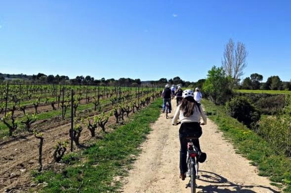 Y Bano Privado, Tranquilidad Y Naturaleza. Barcelona
