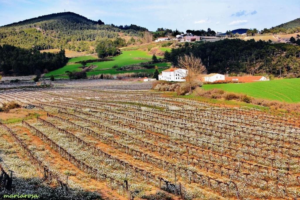 Y Bano Privado, Tranquilidad Y Naturaleza. * Barcelona