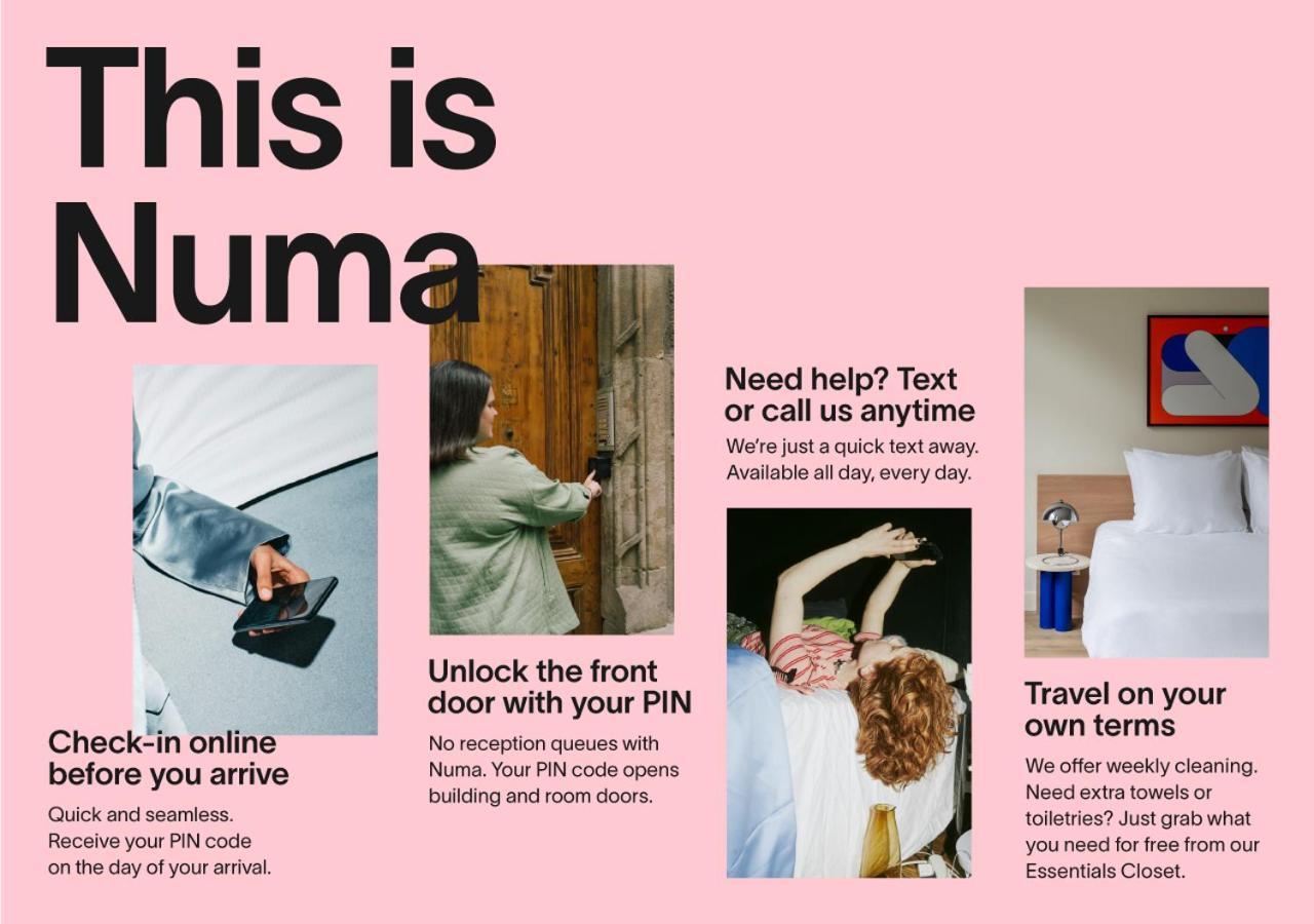 Numa Lustre *