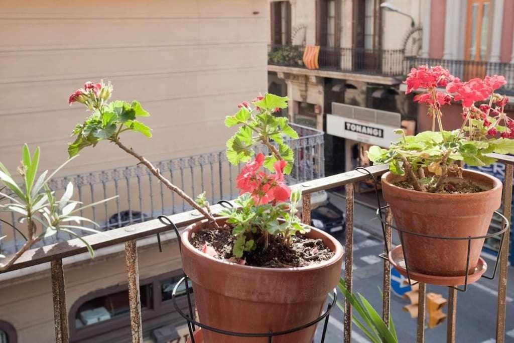 Apartamento Céntrico Con Terraza En Gracia *