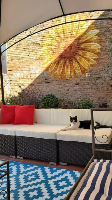 Small In Sants With Huge Terrace Homestay Barcelona