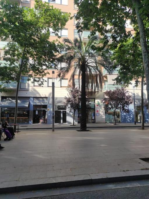 Apartamento New! Amazing 2 Bedroom In Rambla Del Poblenou