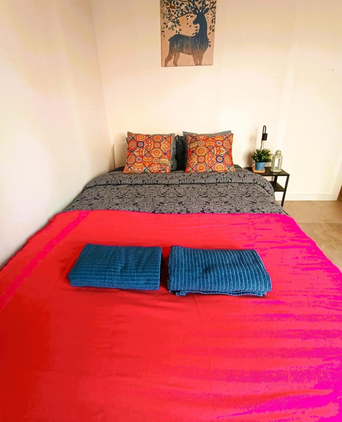 Cathedral Hostal