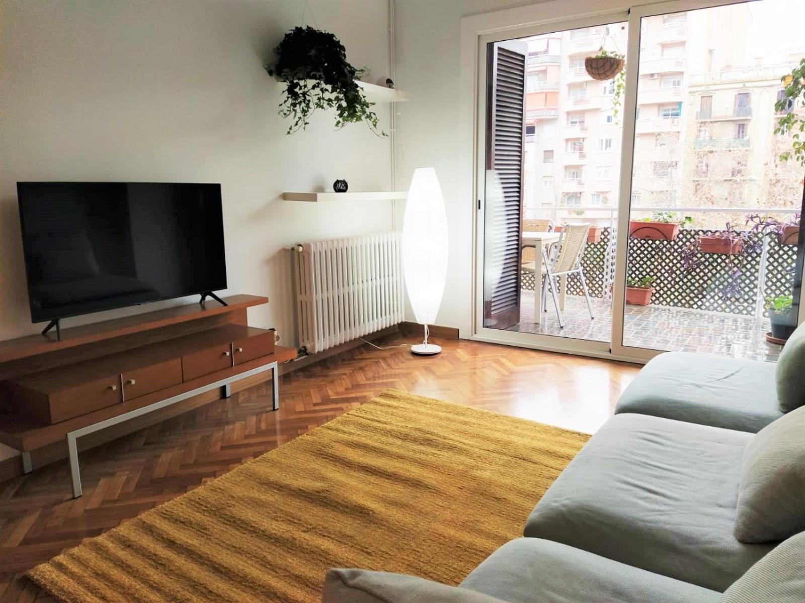 Spacious In The Heart Of The