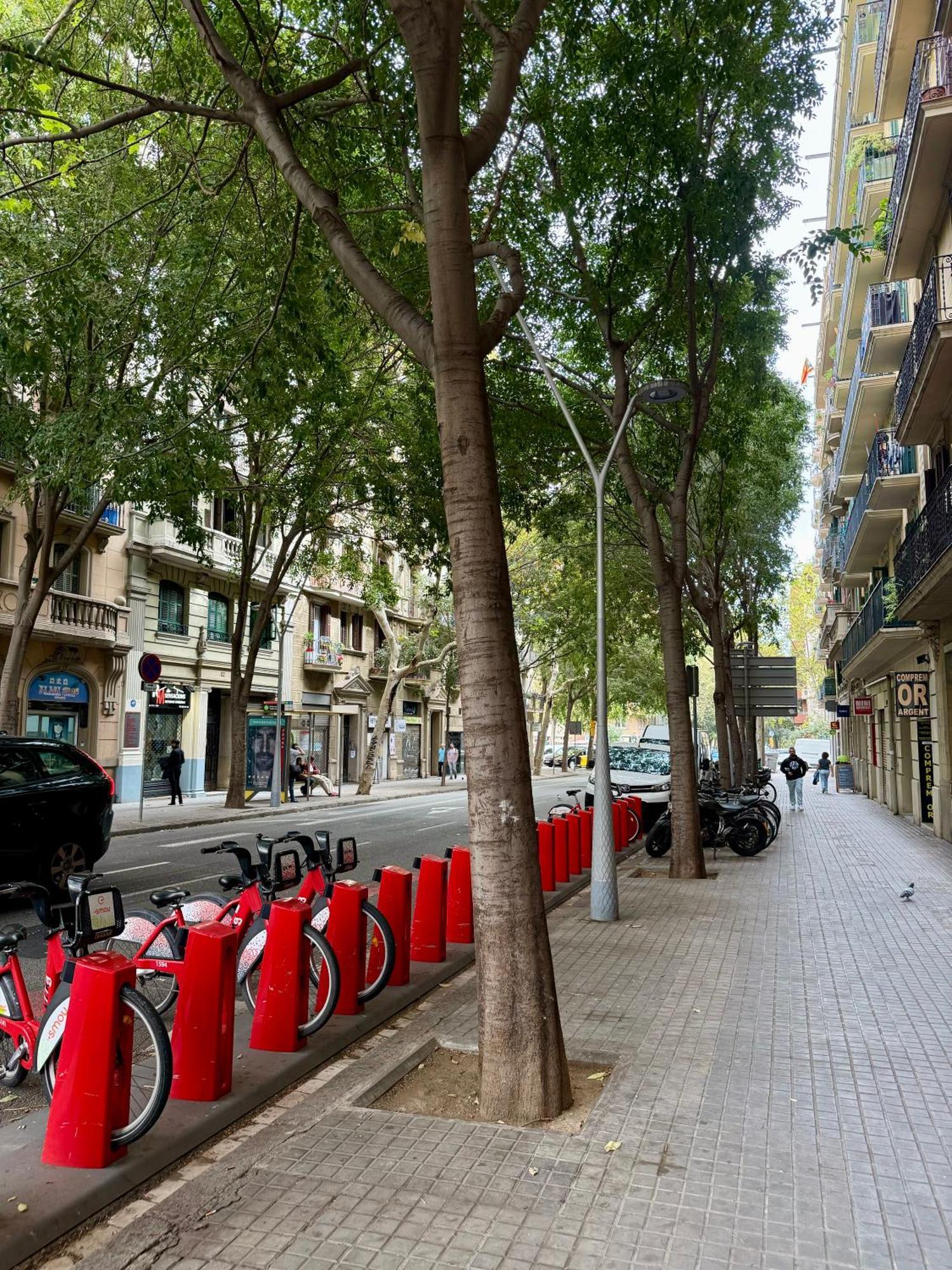 Comfort Eixample Apartamento Barcelona