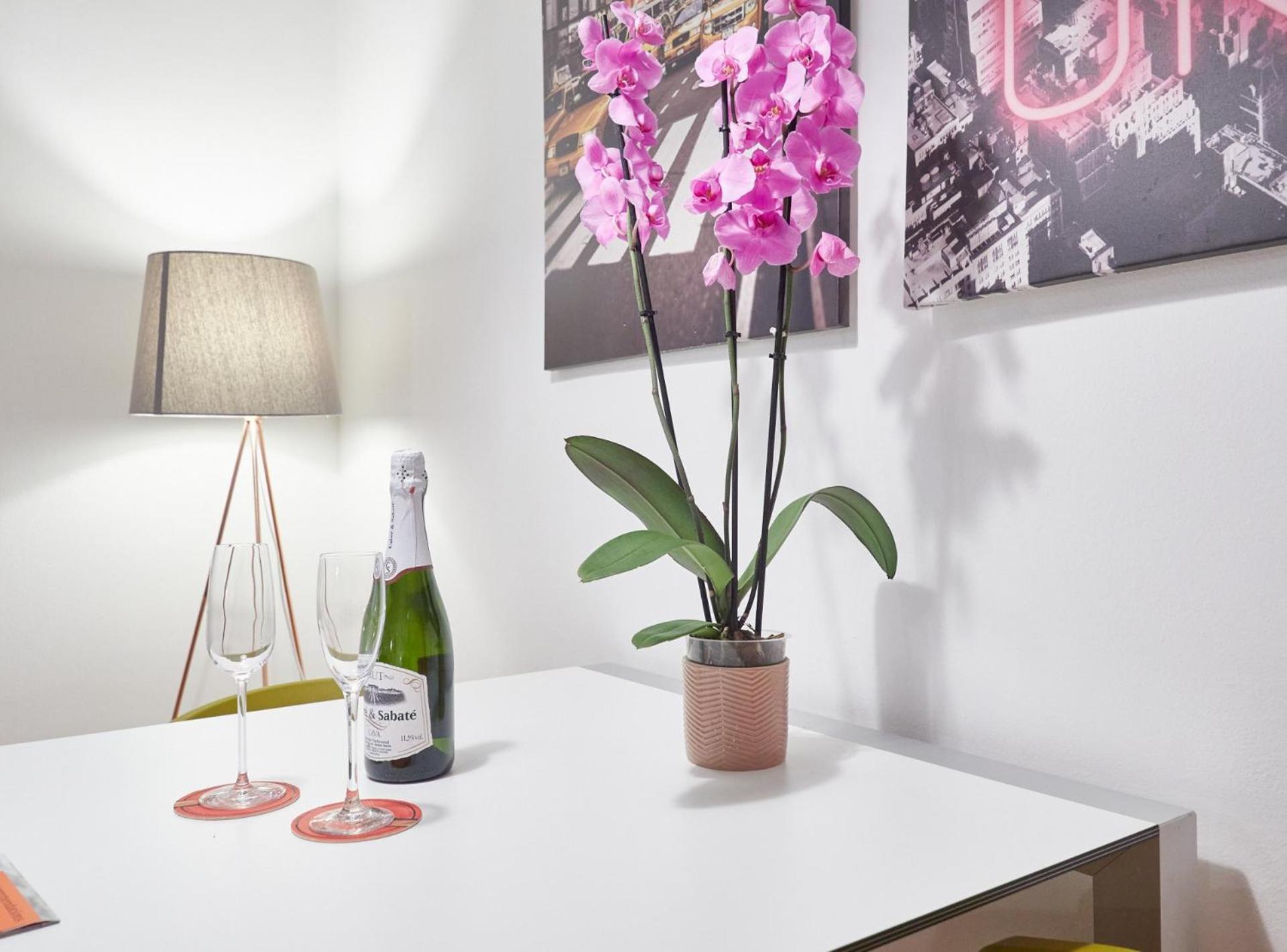 Sant Pau Apartamento