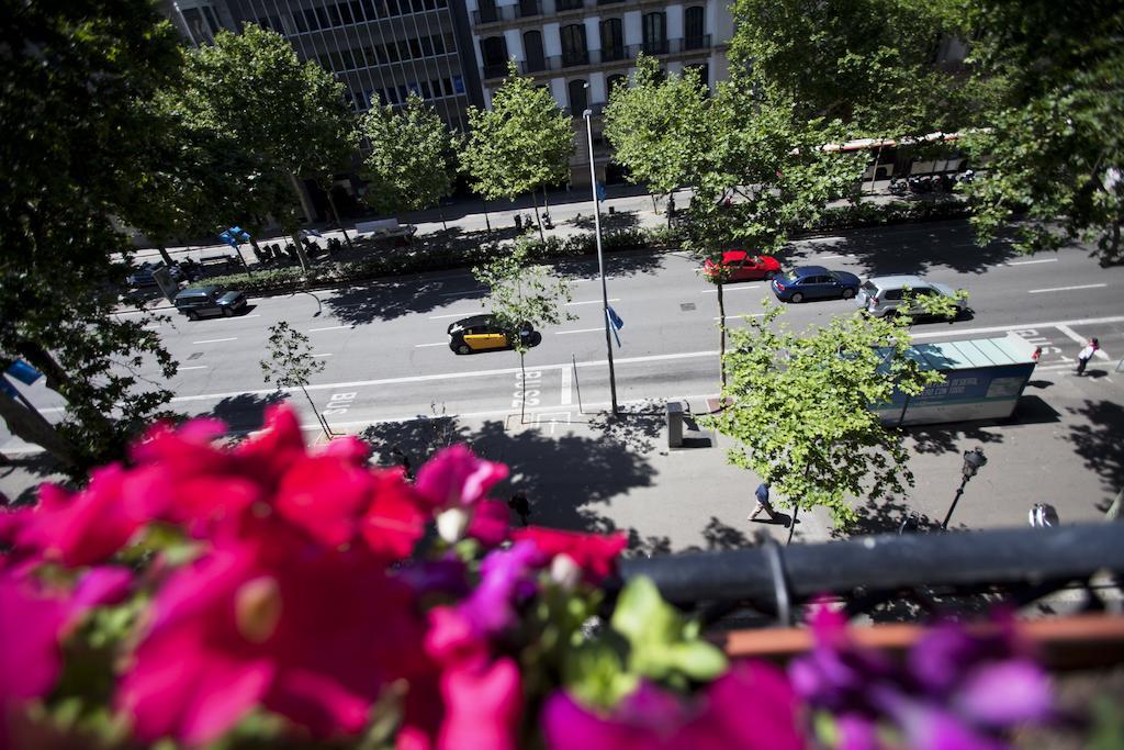 Paseo De Gracia Pdg Barcelona