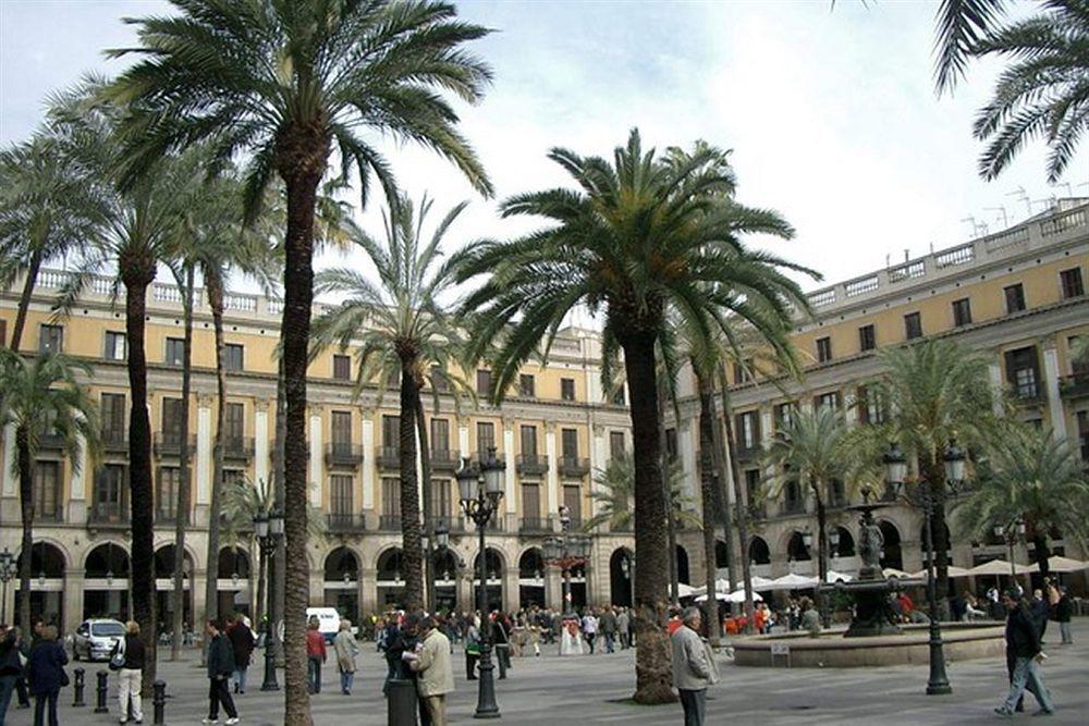 Guest house Vidre - Plaza Real