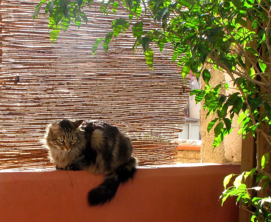 Poblenou Bed and breakfast