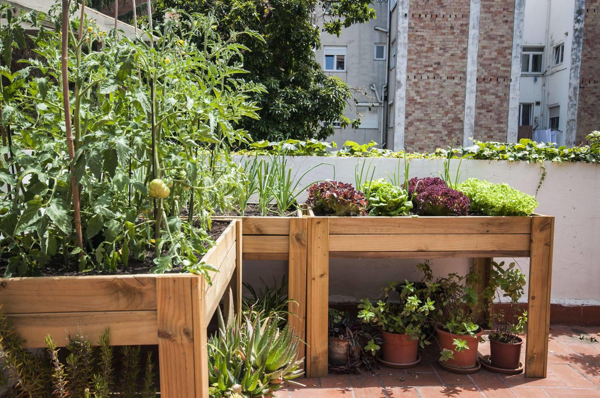 Hostal Residencia Albergue Studio Barcelona