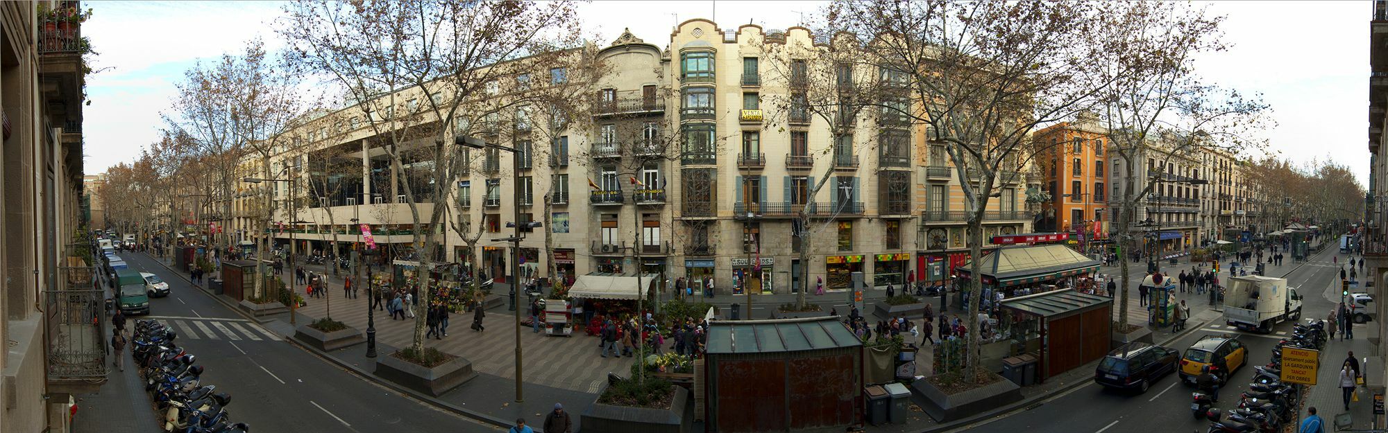 Flores Ramblas 2*
