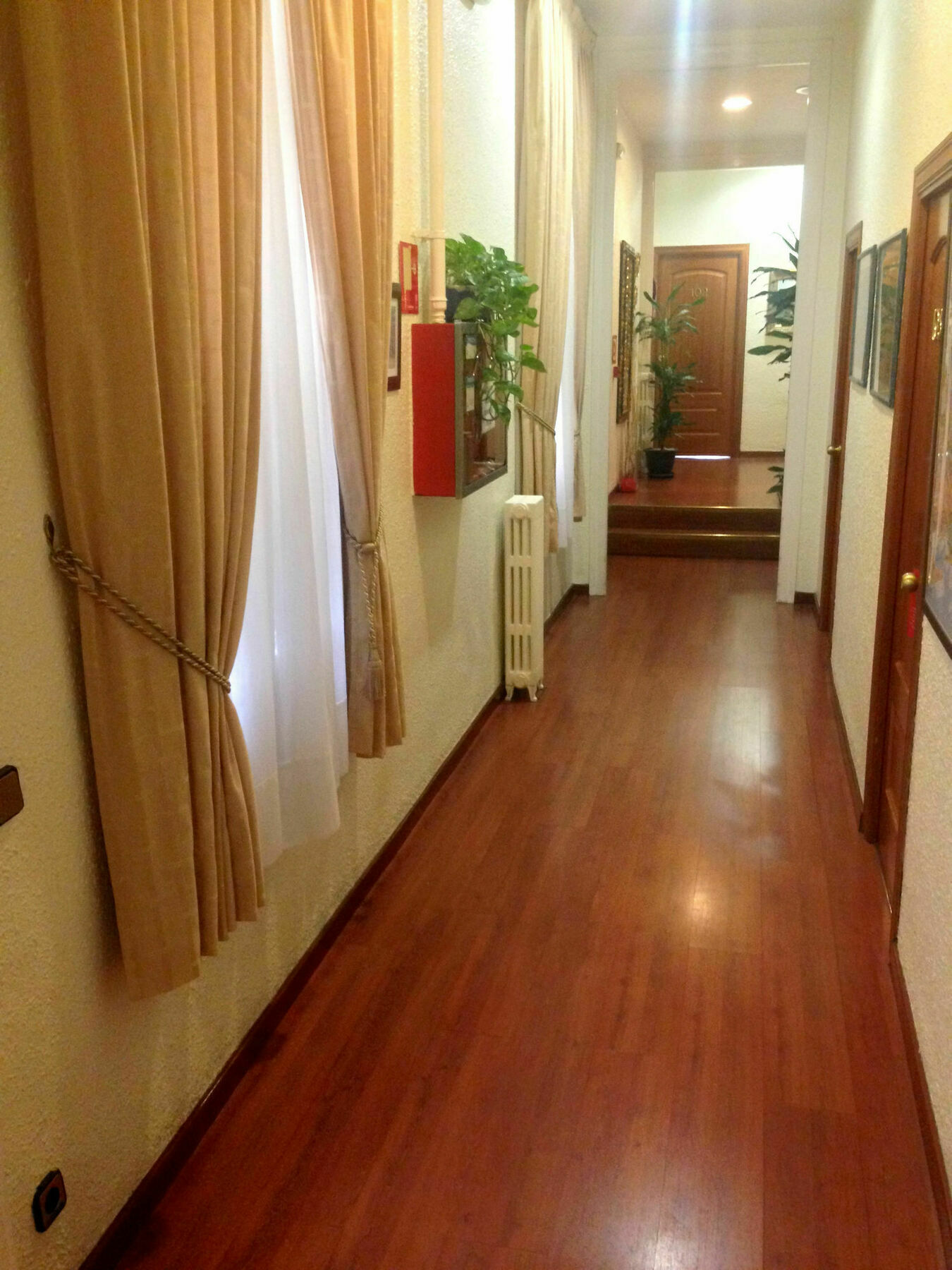 Hotel Hotel Pelayo