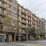 Canela Homes Barcelona Arago