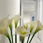 White Apartment Barcelona