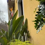 Plaza Goya Rooms