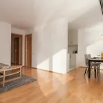 Bbarcelona Placa Universitat Flats