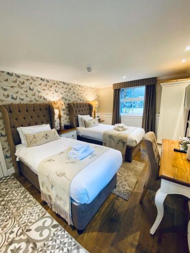 Hostal The Loft