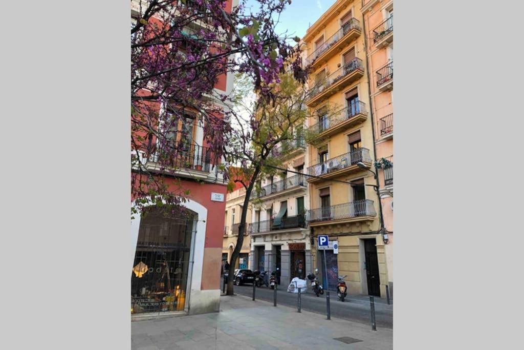 Sunny Gracia - Joanic Renovated Barcelona