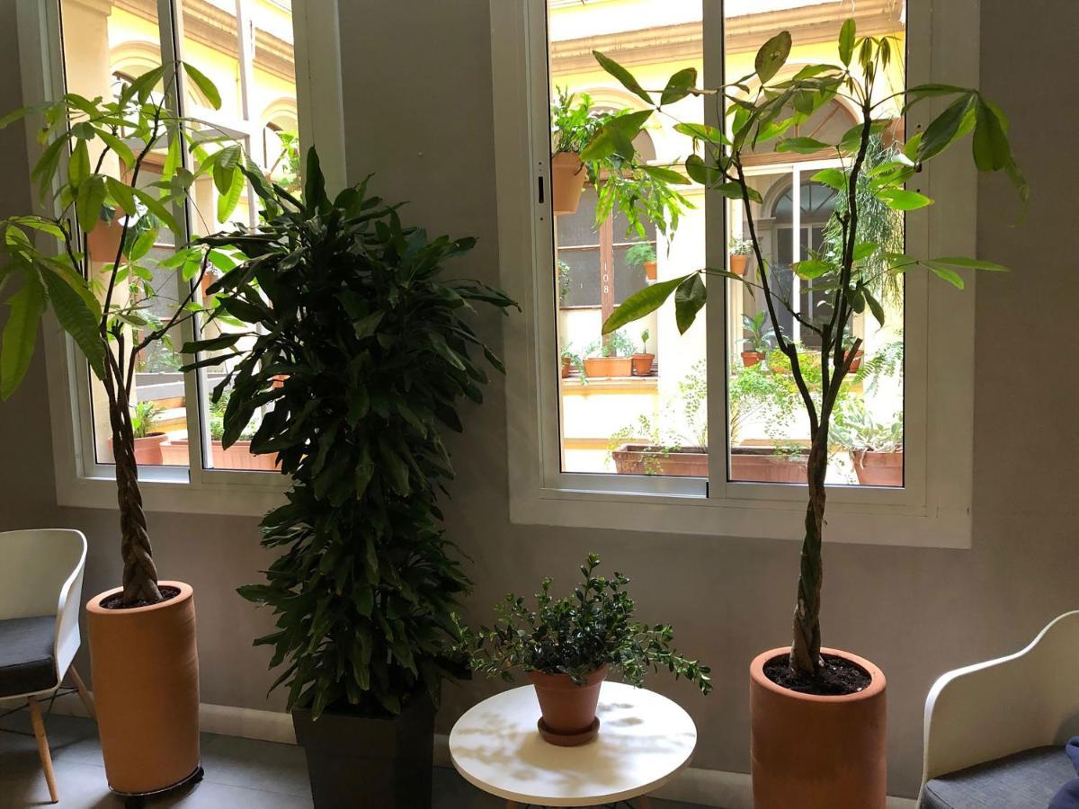 Plaza Goya Guest house