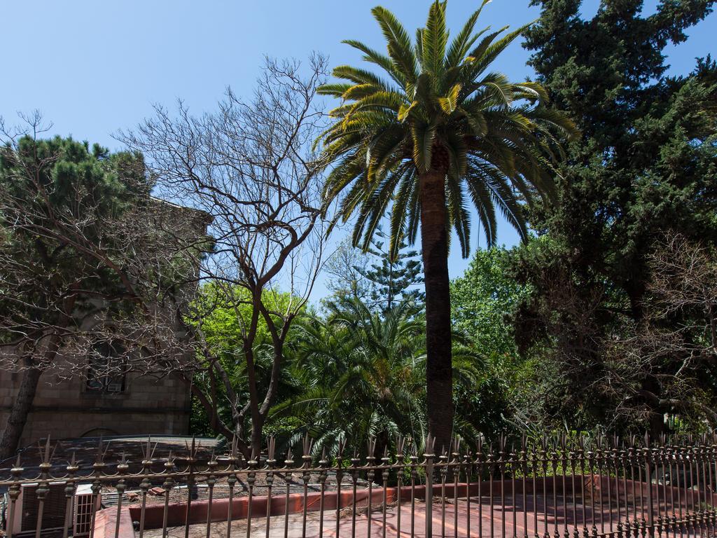 Ecozentric Barcelona