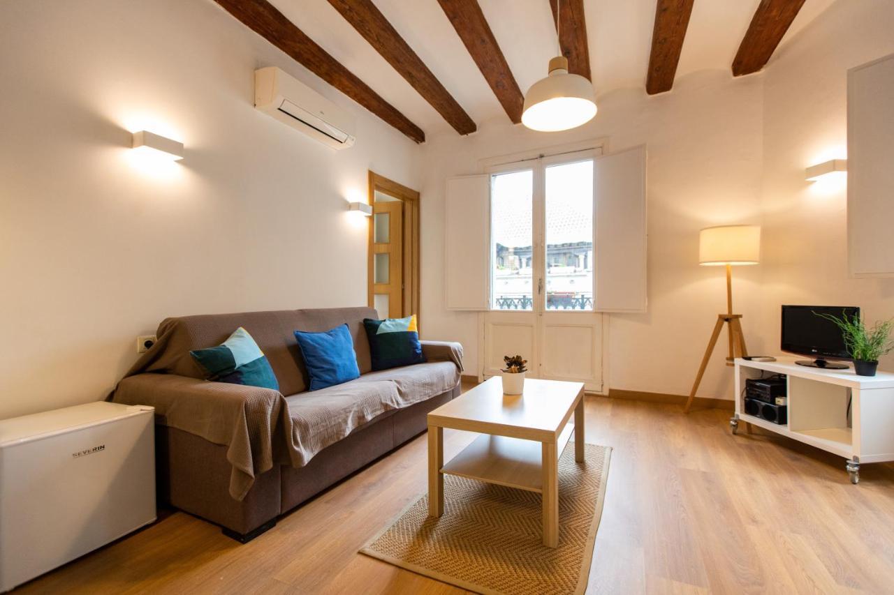 Apartamento Ripoll *