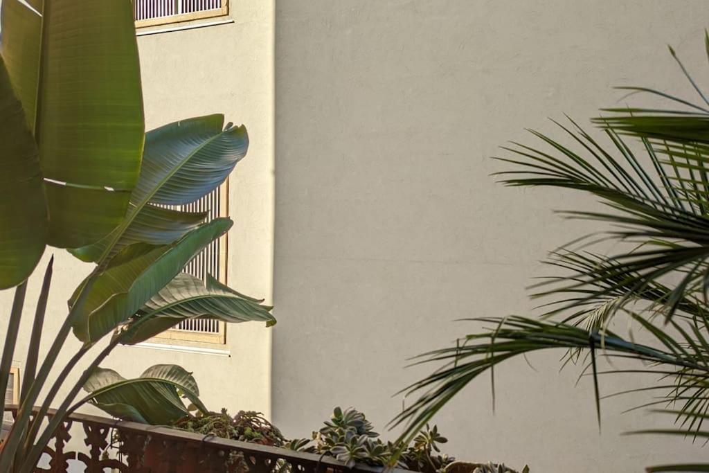 Crash'nstay - Casa Barna Barcelona