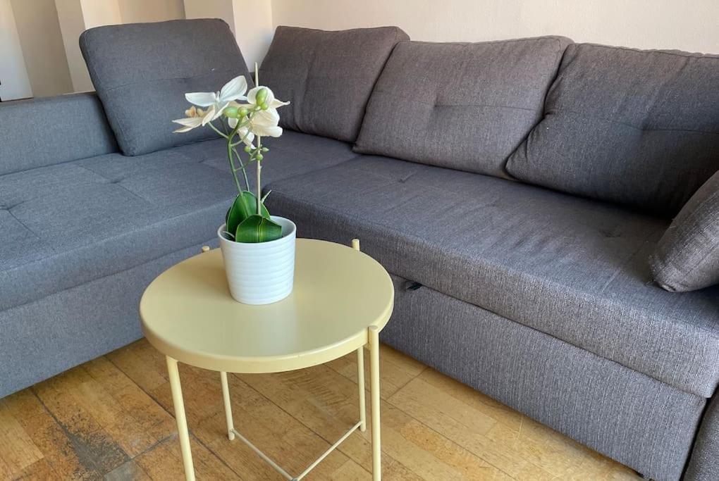 New! Amazing 2 Bedroom In Rambla Del Poblenou Apartamento *