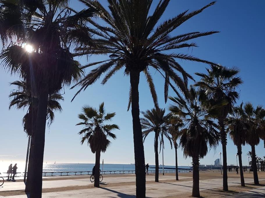 Apartamento New! Amazing 2 Bedroom In Rambla Del Poblenou