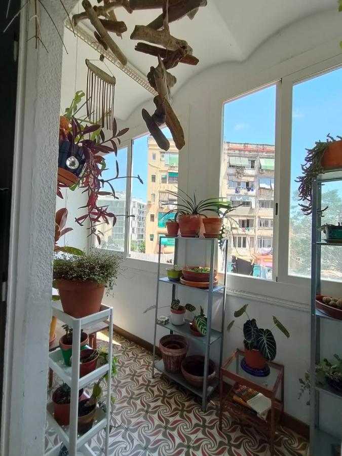 Apartamento Pequeno Y Encantador Oasis En Barcelona