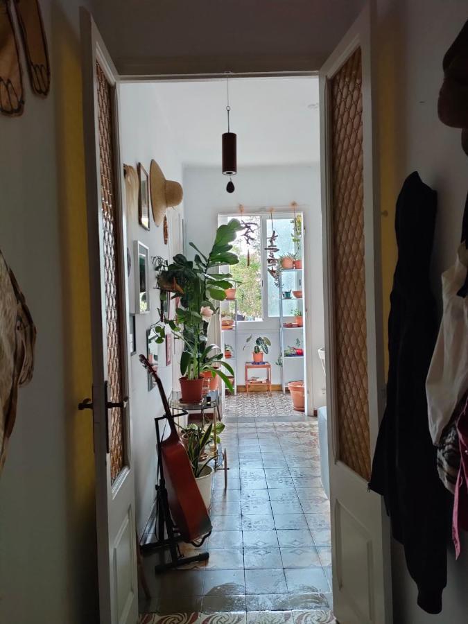 Pequeno Y Encantador Oasis En Apartamento
