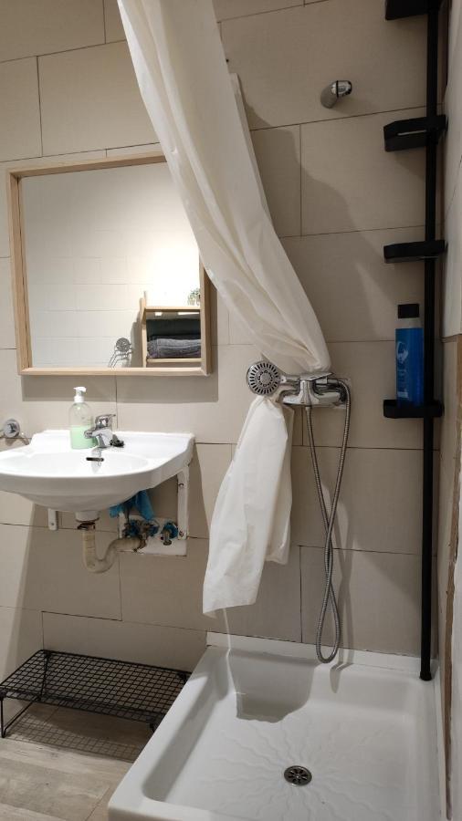 Apartment With Bathroom, Refrigerator And Microwave