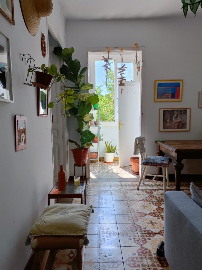 Apartamento Pequeno Y Encantador Oasis En *