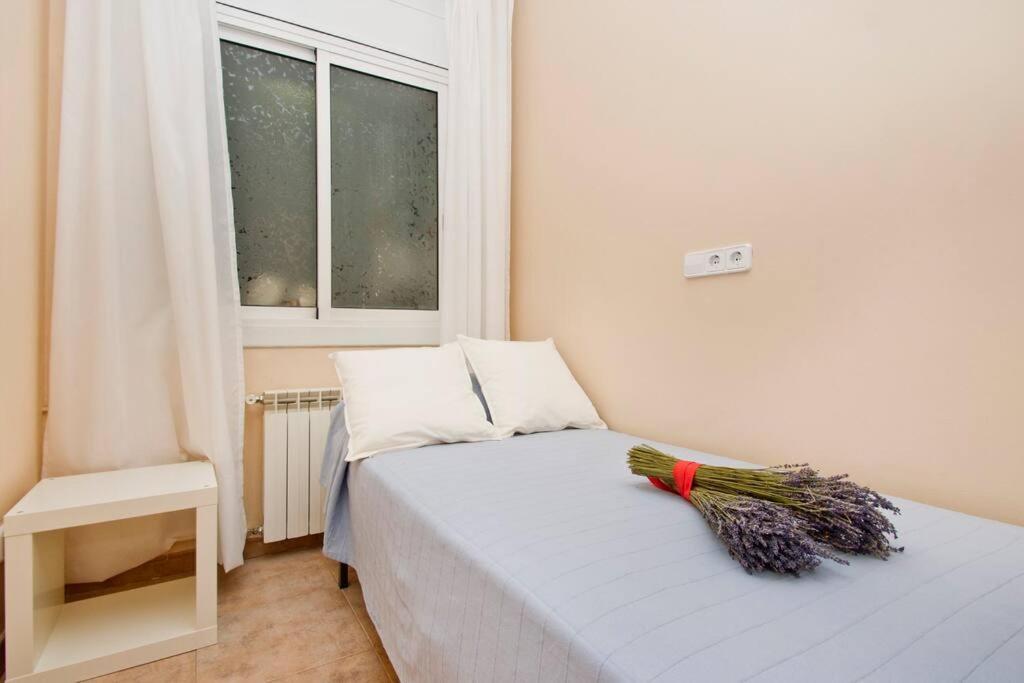 Apartamento Glorias:sagrada Familia 15 Minutos - Playa 20 Minutos Barcelona