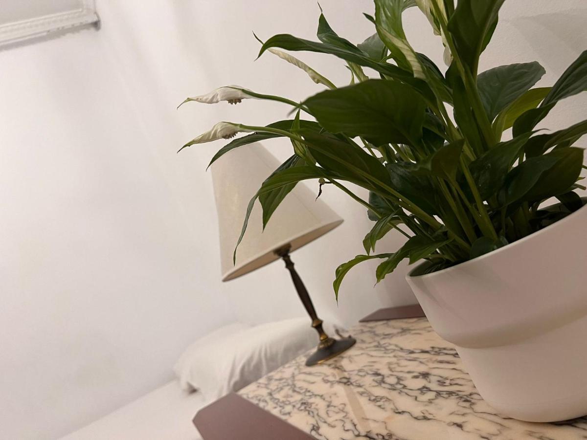 Bed & Breakfast Familiar Sants
