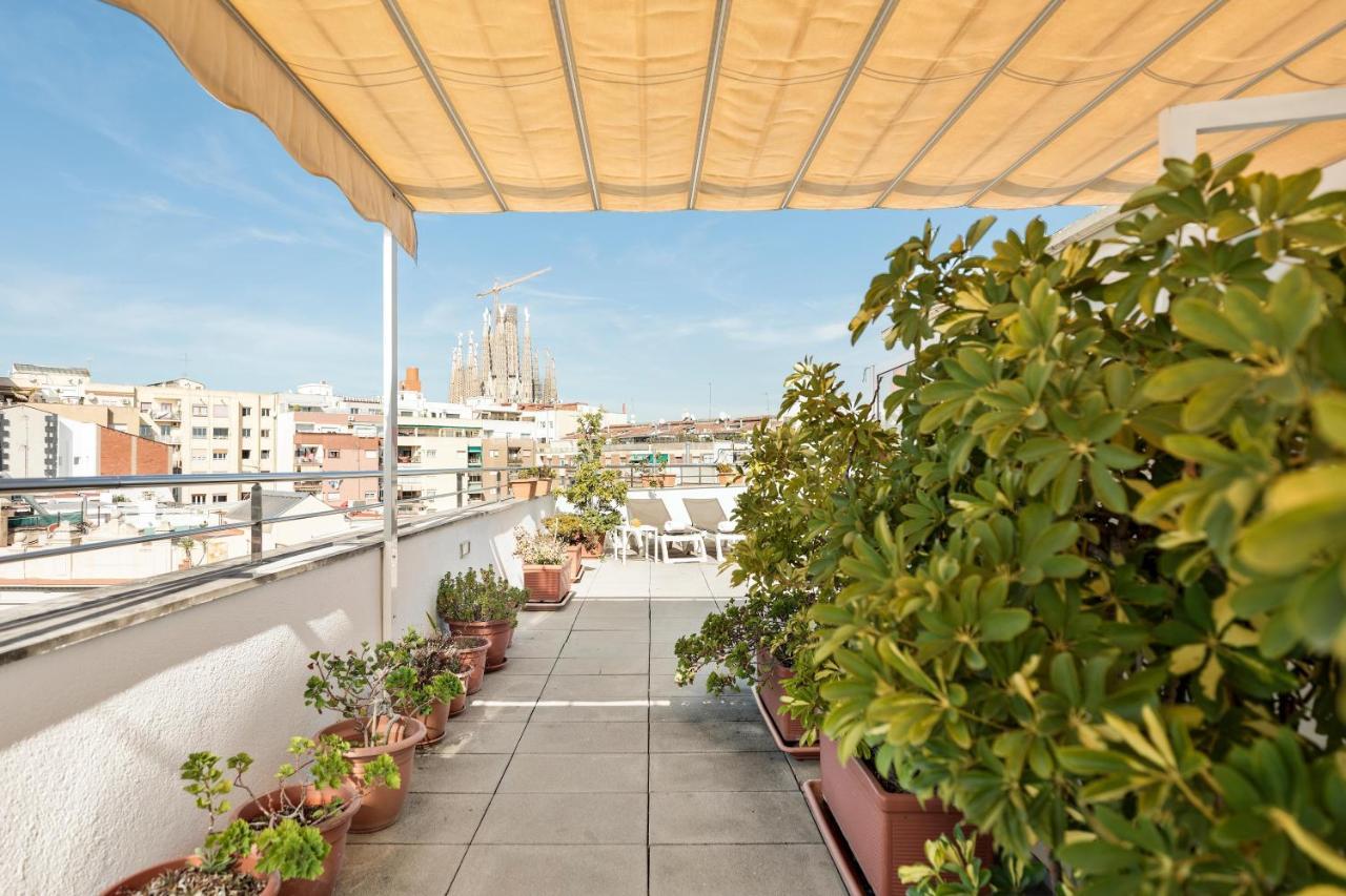 Aranea Hotel 3*