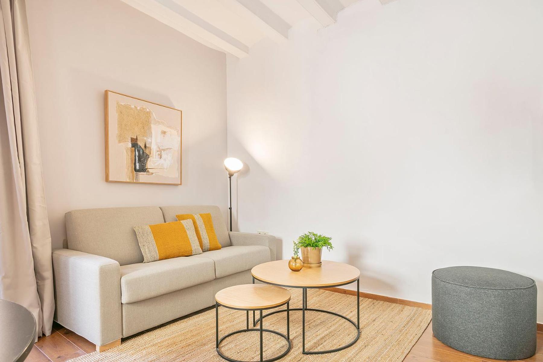 Apartamento Citytrip Palau De La Musica
