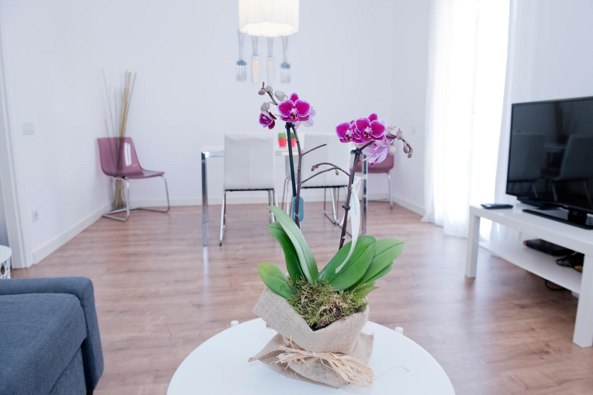 Apartamento Gaudí-sant Pau *