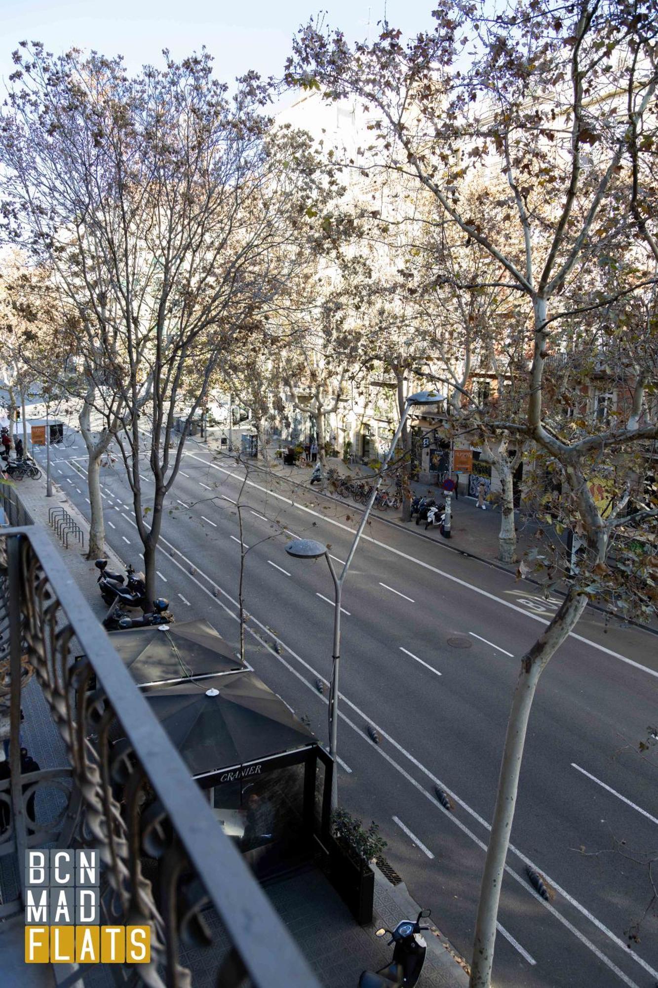 - Eixample 1a Barcelona