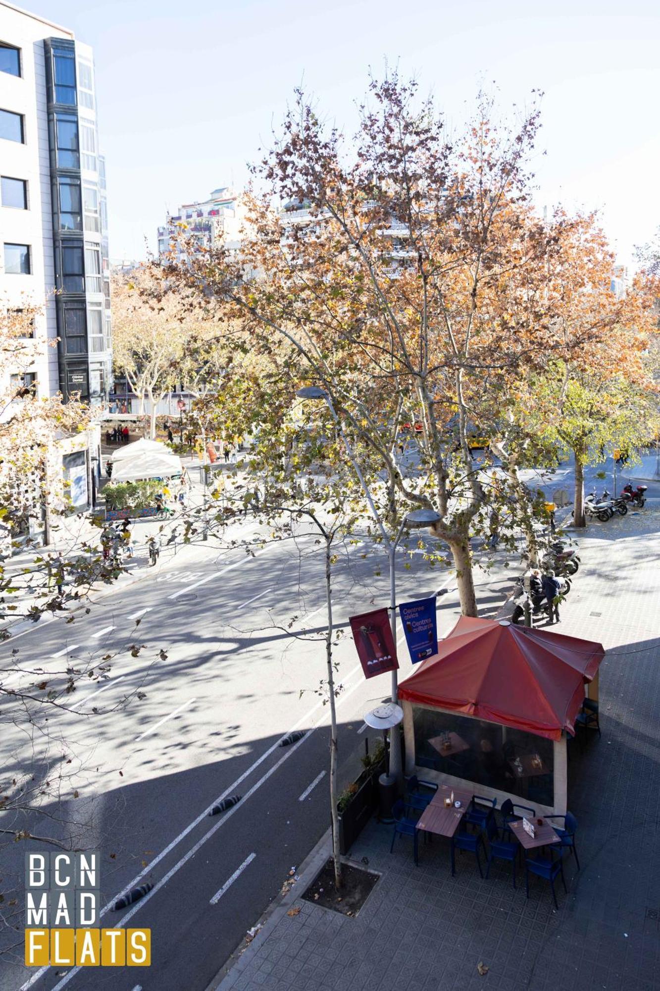 - Eixample 1a Barcelona