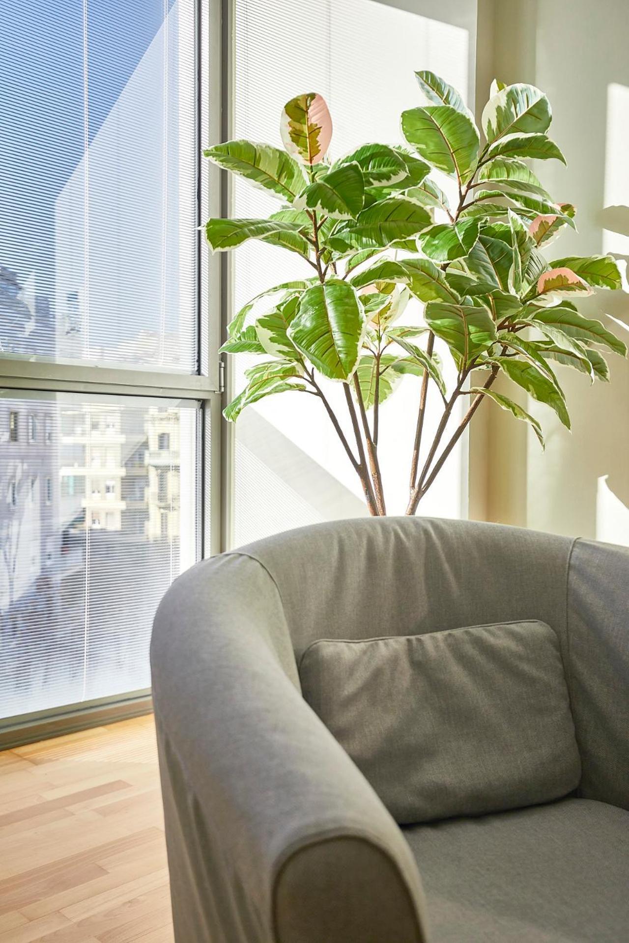 Bbarcelona Placa Universitat Flat * Barcelona