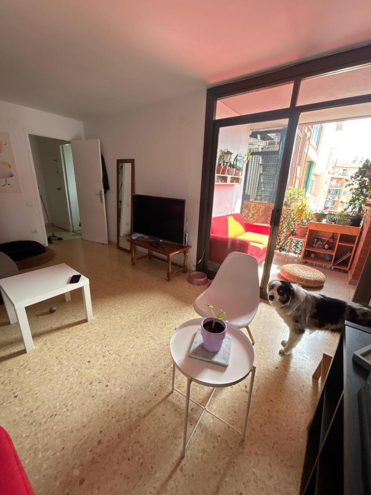 Vacacional 1 Persona Camping Barcelona