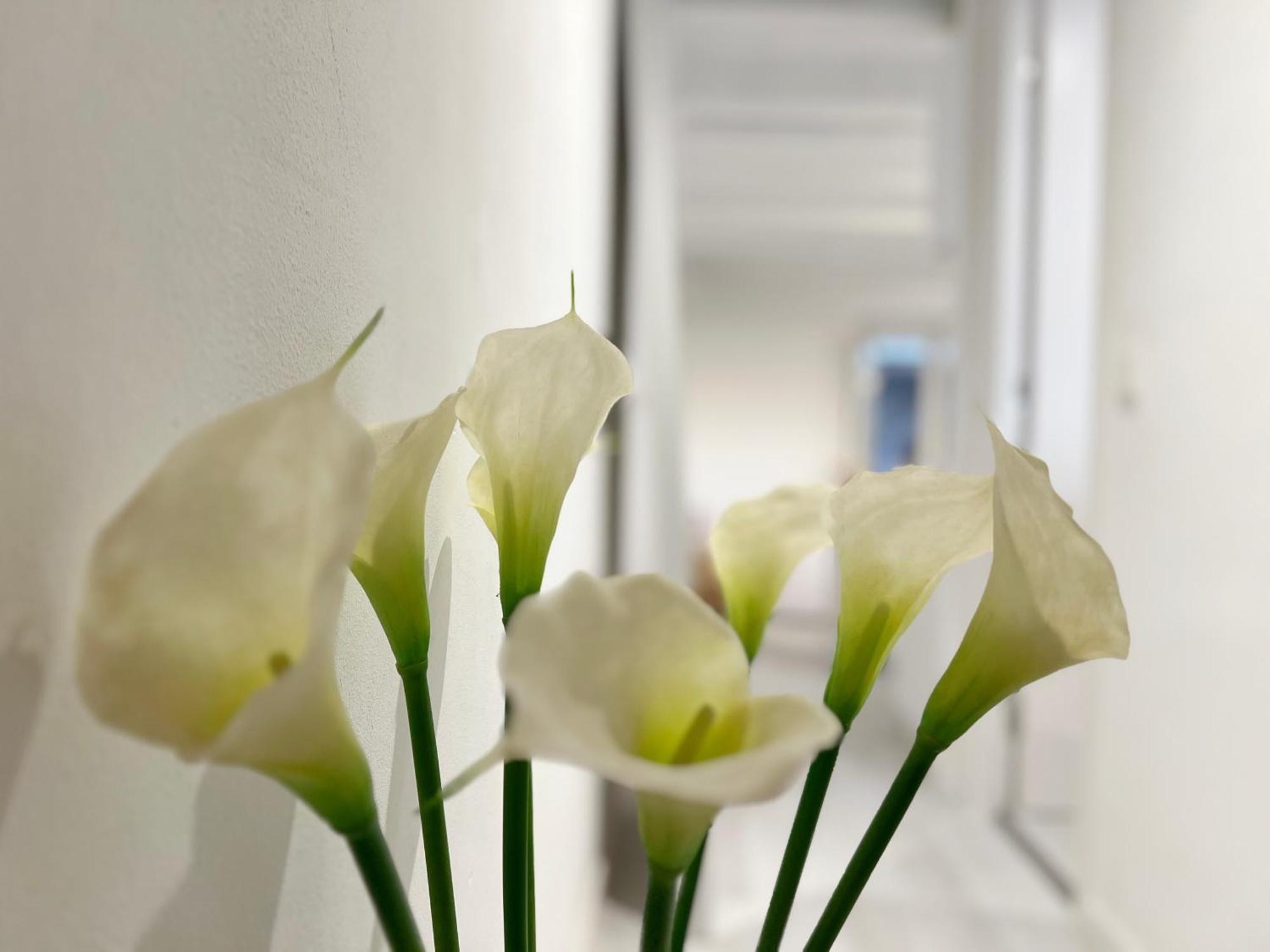 White Apartamento