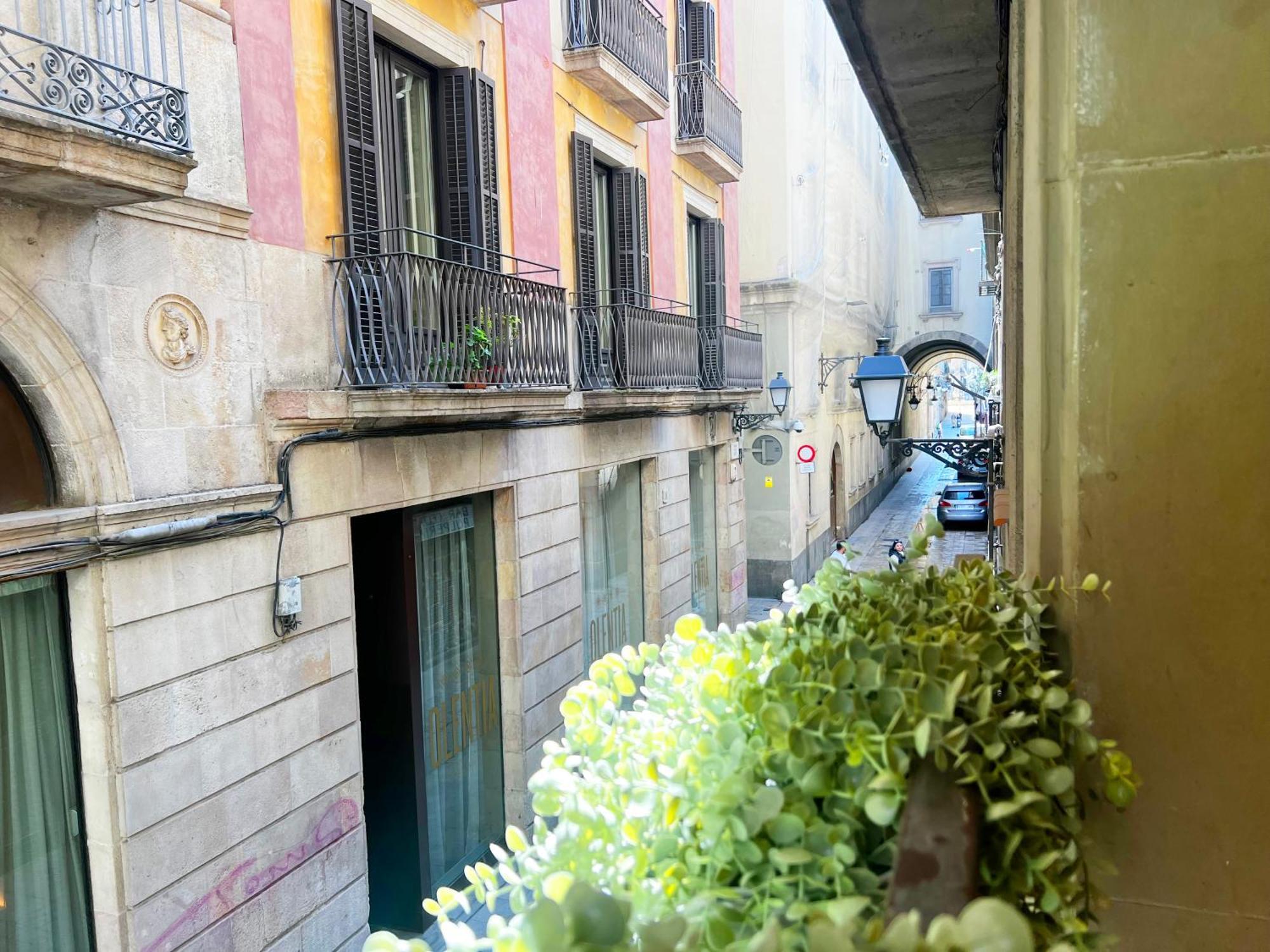 White * Barcelona