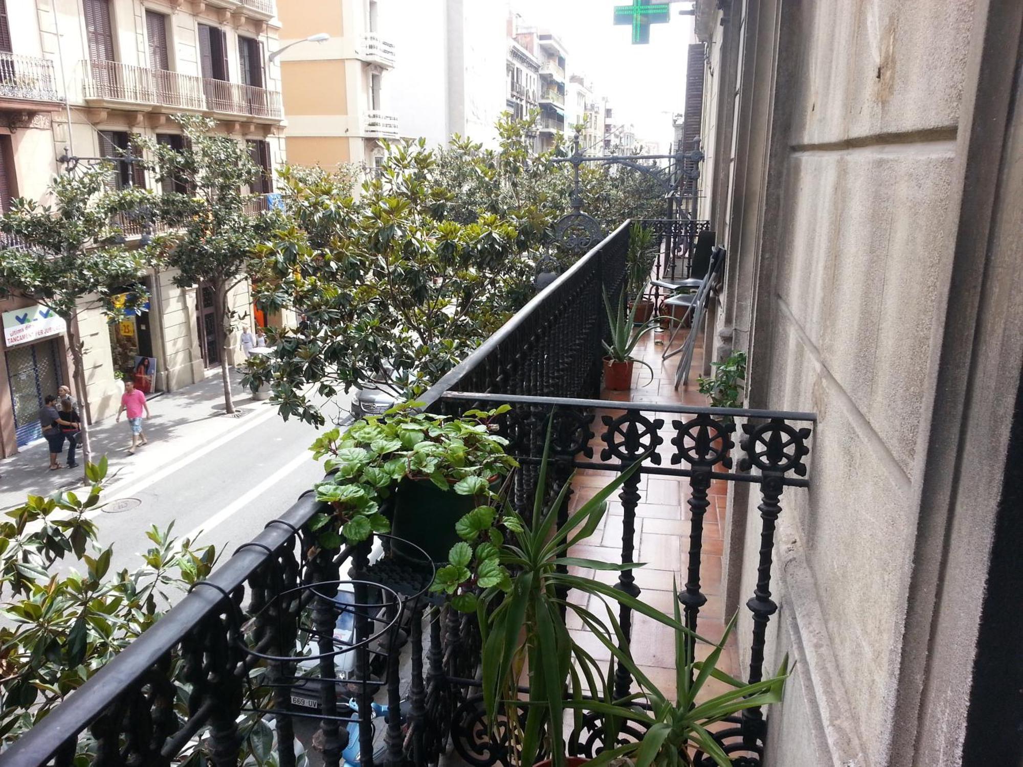 Housing Student Barcelona