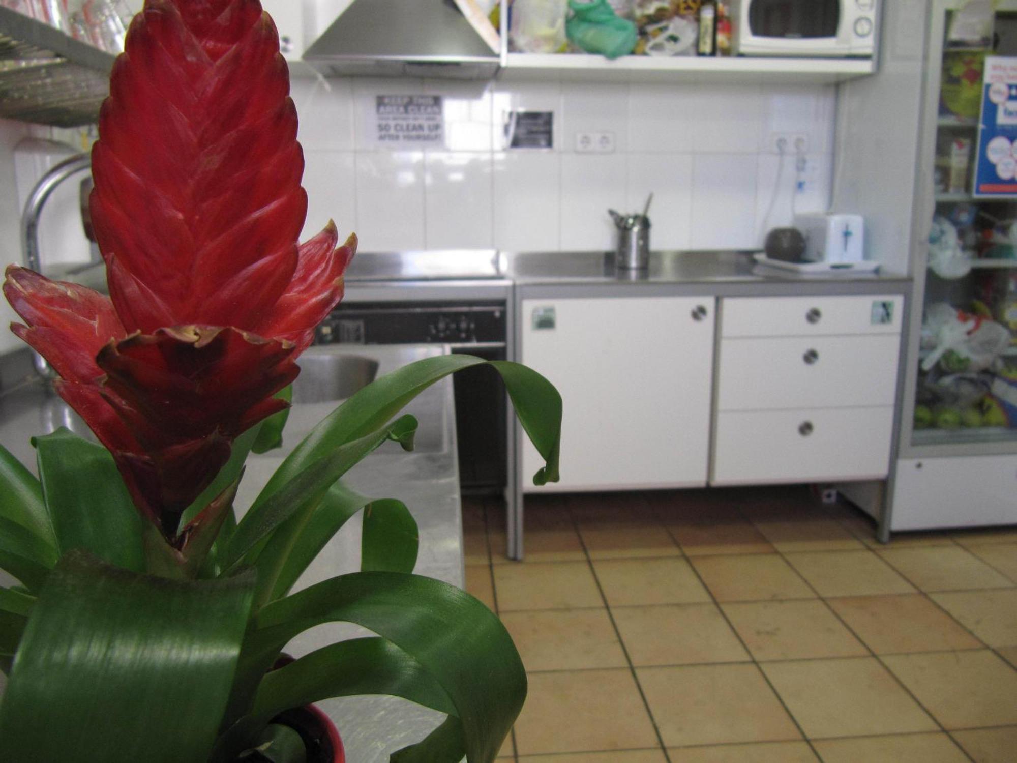 Hostal Mellow Eco
