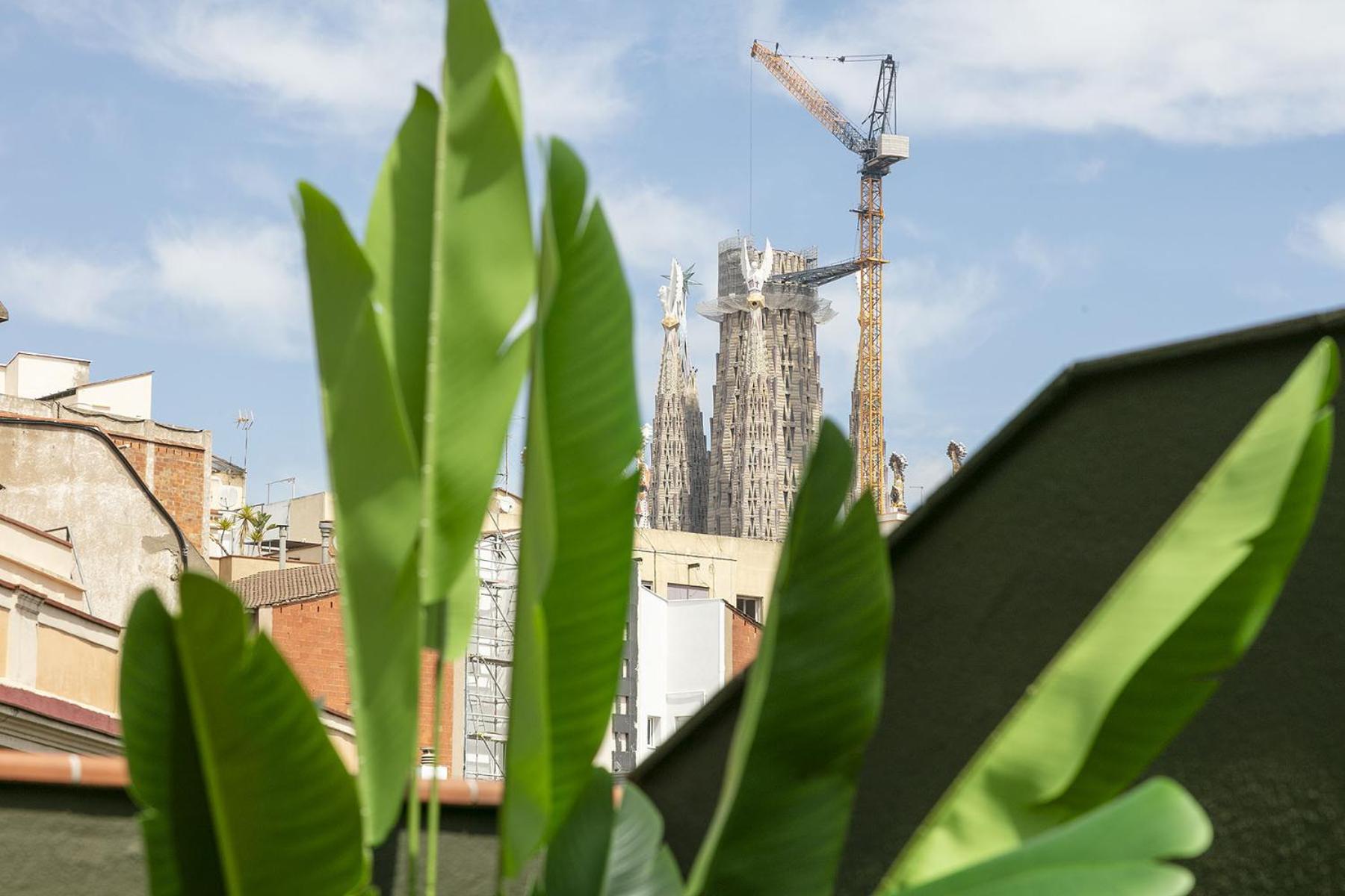 Ola Living Consell De Cent Barcelona