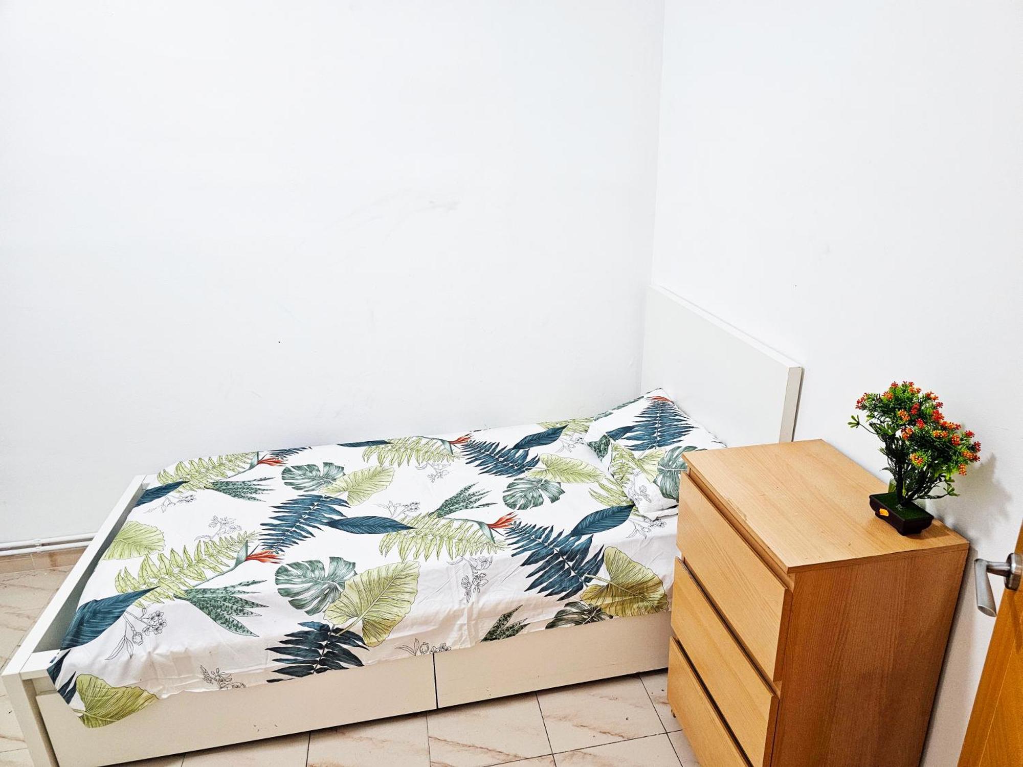 Apartment 3 Bedroom Luxury In *