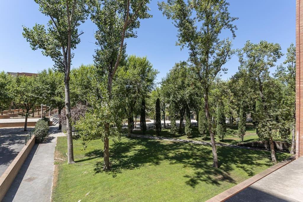 Canela Homes Icaria * Barcelona