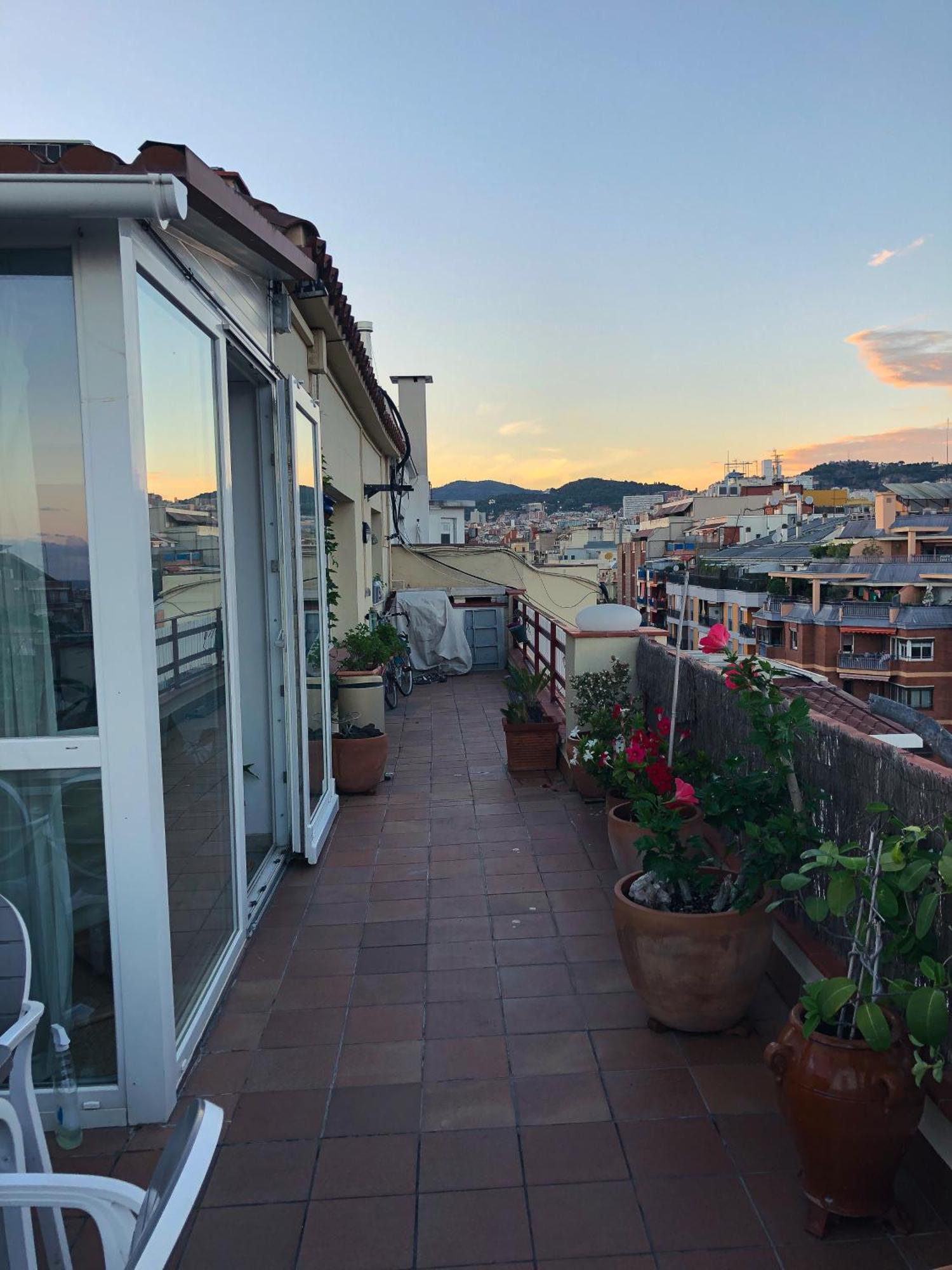 The Terrace In Apartamento Barcelona